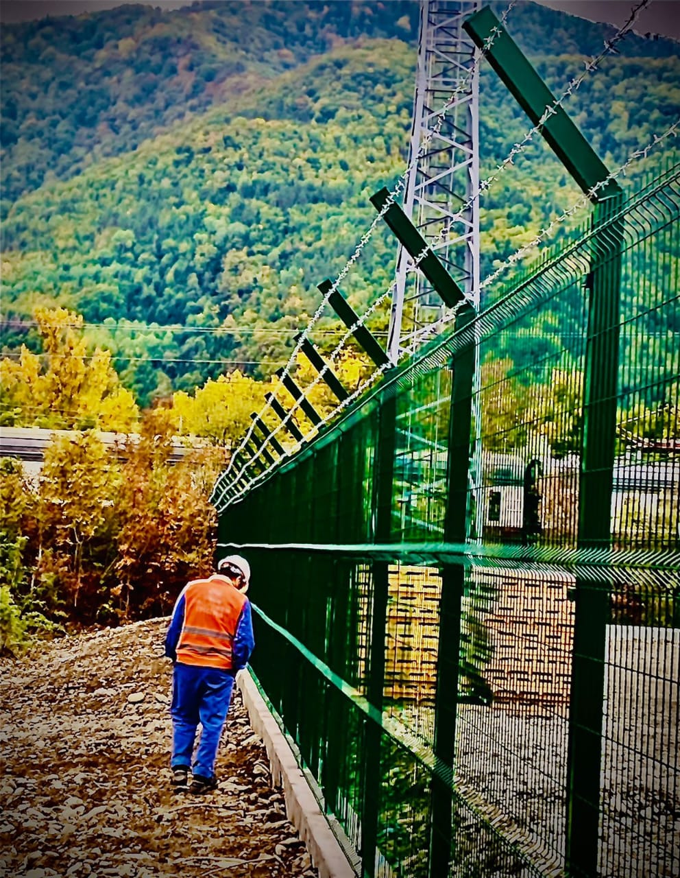 ტენდერები და პროექტები